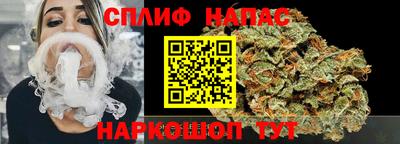 бошки Дубна